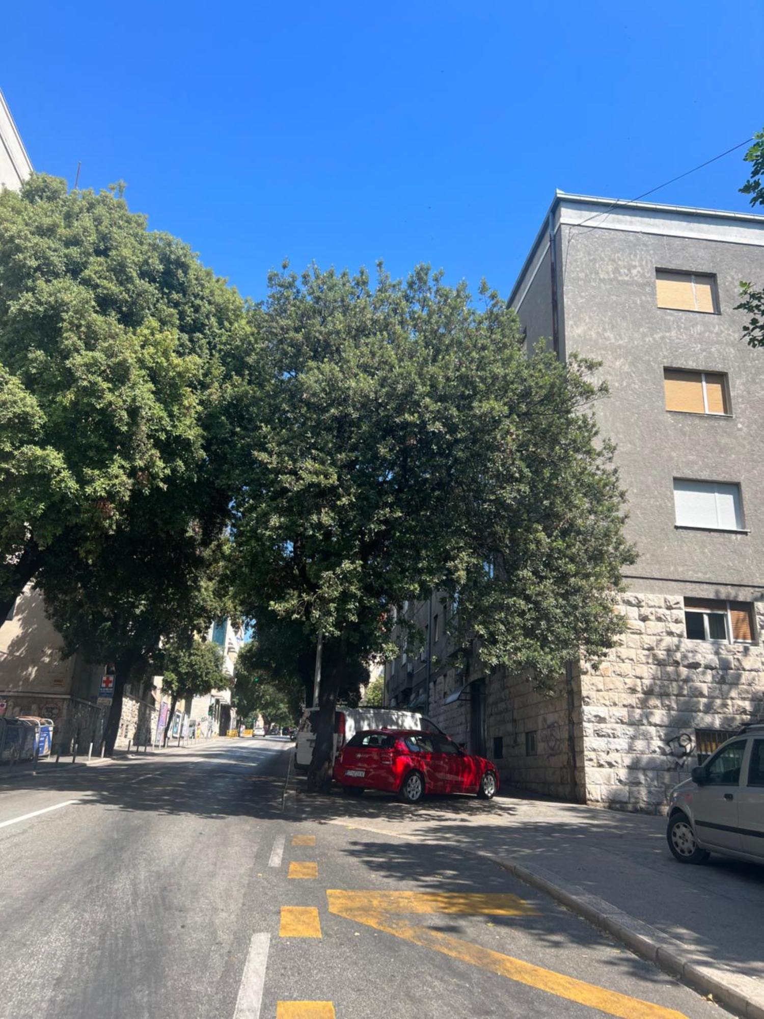 Apartment Anachi Split Exterior foto